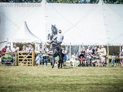 DSC2228 : Aylsham Show 2016