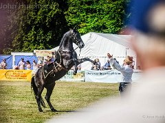 DSC2246 : Aylsham Show 2016