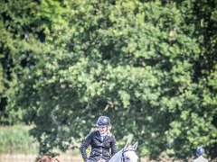 DSC2667 : @aylshamshow, Aylsham Show 2016, ruby pointer