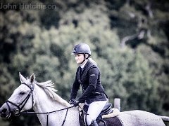 DSC2670 : @aylshamshow, Aylsham Show 2016, ruby pointer