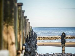 DSC3240 : Cromer Jan 2017